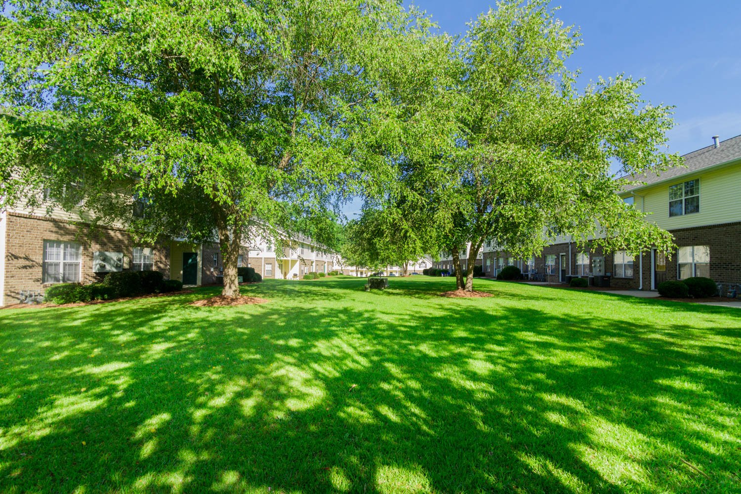 Mature shade trees in a green landscaped courtyard
